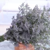 Товары от 荣荣花坊