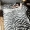 Đồ tạo tác Hàn Quốc đôi khách sạn khăn trải giường bằng vải bông du lịch khách sạn qua túi ngủ bẩn người lớn du lịch cầm tay - Túi ngủ túi ngủ văn phòng tiki