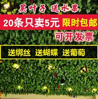 Псевдома -виноградная полоса Симуляция виноградные листья пластиковые цветочные цветочные зеленые листья виноградные лозы