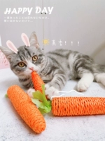 Морковная игрушка, кот