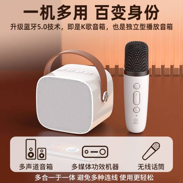 [Wireless Bluetooth Karaoke Microphone Mini Portable Speaker]