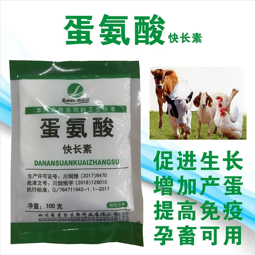 Задачи с зверями. Вся бесплатная доставка Эггин -быстрая вегетарианская собака, кальций, курица, яйца, яйца, свиная овца