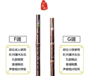 Ngọc sáo có thể được sử dụng như một nhạc cụ clarinet sinh viên d sáo túi người mới bắt đầu sáu lỗ học sinh bộ sáo tre f - Nhạc cụ phương Tây
