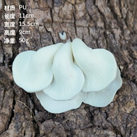 5 грибов