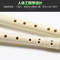 Luyện tập nhạc cụ clarinet 6 lỗ vào lớp trẻ em 8 lỗ cho người mới bắt đầu dạy tiếng Đức - Nhạc cụ phương Tây kèn saxofon