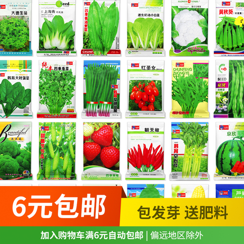 清州镇 四季蔬菜菜种子 62种