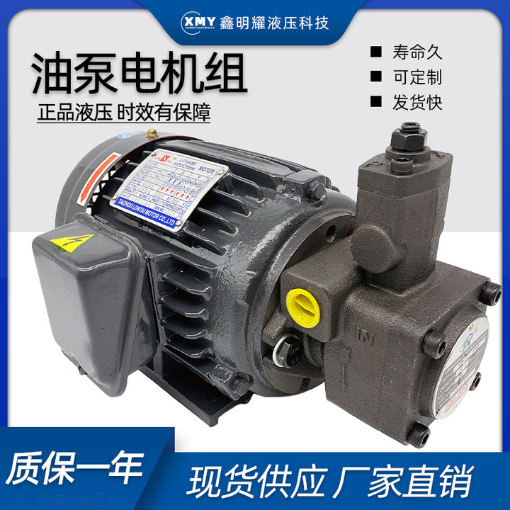 bơm thủy lực xe nâng tay cao Bộ động cơ bơm dầu thủy lực VP20-30+0.75-1.5KW cụm bơm thủy lực động cơ ngang hệ thống trạm thủy lực bơm thủy lực bánh răng mini phục hồi bơm thủy lực