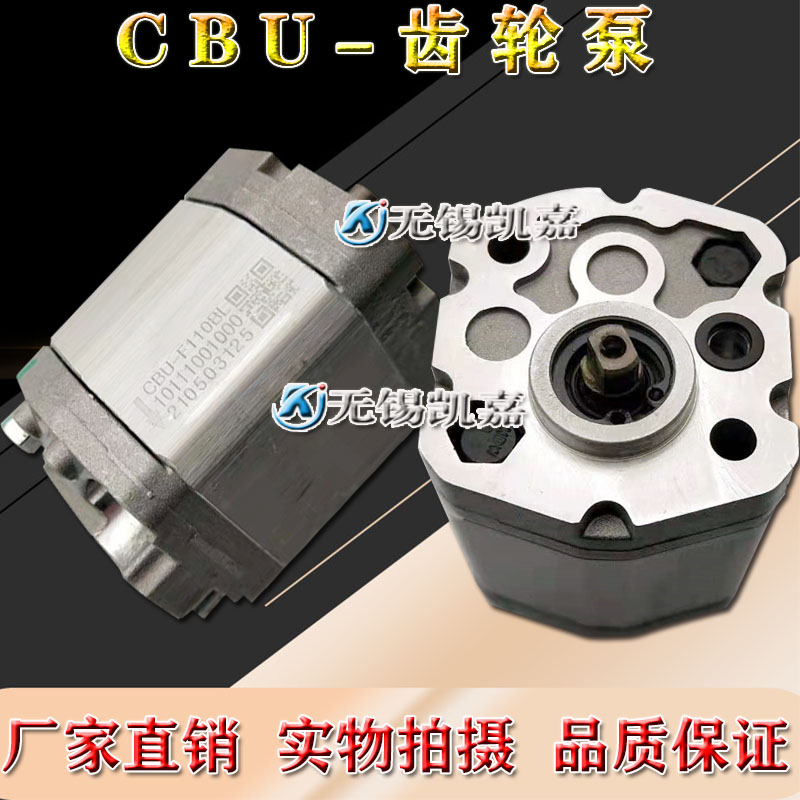 bơm thủy lực bằng tay CBU-F110BL CBU-F1019 CBU-F1038 Xe nâng điện Bơm dầu thủy lực Bơm bánh răng cấu tạo bơm thủy lực máy xúc dau bom thuy luc