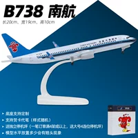737 China Southern Airlines [ленточное колесо]