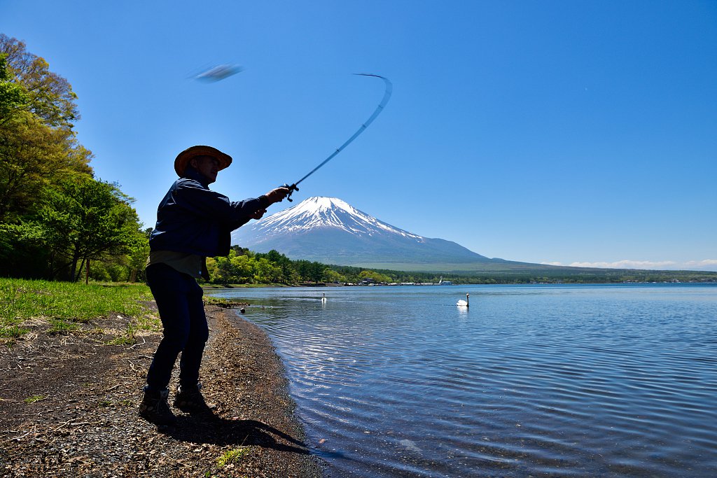 如何选择台钓鱼竿才能满足不同的钓场