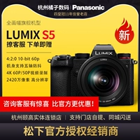 Panasonic DC-S5GK Lumix S5 Micro Single Camera Полноформатная антипанасонная S1 S1R S1H