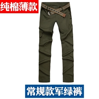 Тонкие зеленые хлопковые штаны