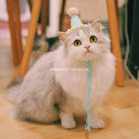 Зеленая шапка