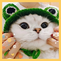 Код лягушки S (3-5 кот)