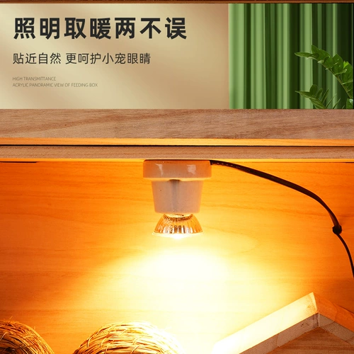 Разрушивание куриного слова голая прорывная коробка, смешанная курица теплый фонарь