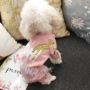 Quần áo Teddy bốn chân quần áo mùa xuân và mùa thu VIP hơn Xiong Bomei chú chó nhỏ chó cưng mèo mùa thu và quần áo mùa đông - Quần áo & phụ kiện thú cưng quan ao cho cho