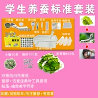 Студенческие костюмы шелкота