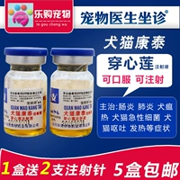 Pet Jiaojiao Серная кислота празднует Galcin Piercing Heart Lotus Dog Plague, рвота, диарея, небольшая ветеринарная медикамента