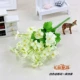 Bai Yingchun цветет куча
