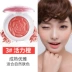 Qiao Di Shang Hui đắp nổi cánh hoa nghệ thuật - Blush / Cochineal phấn má hồng mac màu nào đẹp Blush / Cochineal