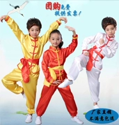 Trẻ em biểu diễn võ thuật quần áo dài tay tập thể dục quần áo nam và nữ biểu diễn kungfu học sinh tiểu học và trung học Taiji đào tạo quần áo