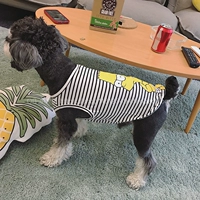 Легкая черно -белая полоса