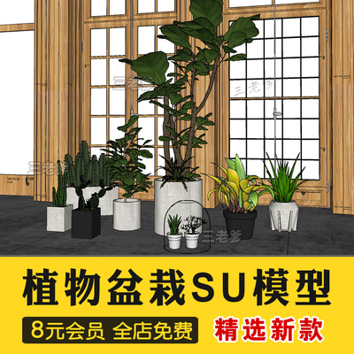 0367植物花盆盆栽盆景单体SU模型室内花卉花草Sketchup草图大...-1