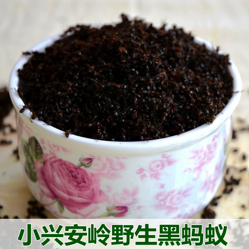 Северо -восточный xioxing'an гора дикий черный муравей китайский медицина Свежий муравей подходит для 500 граммов варевных винных трав.