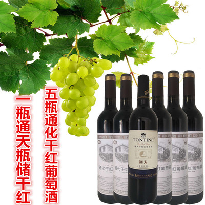 1瓶瓶储干红5瓶通化干红