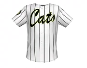 Trò chơi bóng chày đồng phục tùy chỉnh in logo đội ngũ dịch vụ bóng mềm quần áo áo ngắn tay phù hợp với đường phố bóng chày quần áo lỏng lẻo - Thể thao sau