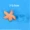 Mini Rùa Starfish Bể cá Thủy cung Cảnh quan Micro Cảnh trang trí Eco Chai tự làm Vật liệu trang trí Hoa chậu Phụ kiện - Trang trí nội thất thiết kế phòng thờ