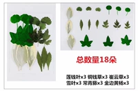 Флуоресцентный зеленый