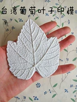 Плесень из белого винограда