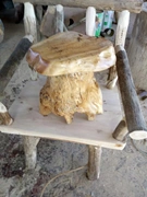 Log gỗ trụ gỗ rắn trụ cây gốc rễ khắc nghệ thuật phân thời trang sáng tạo gốc khắc - Các món ăn khao khát gốc