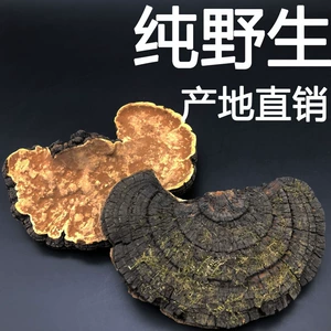 [Источник Баозхенг] Pure Changbai Mountain дикая шелковица Stormy Martin Martin Sang Huang Sangchen Sang Huang Ganoderma