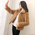 2018 mùa thu và mùa đông mới của Hàn Quốc giả lông thú áo khoác nữ ngắn suede coat slim dày áo khoác sang trọng áo khoác lông thỏ Faux Fur
