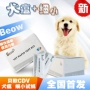 BEOW 贝欧 Canine parvovirus queDesing y tế nuôi chó máy siêu âm thú y giá rẻ