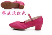 Роза красный (внизу)