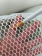 Tùy chỉnh 
            nylon đan xen lưới nylon mềm lưới mềm lưới chống muỗi vải lưới lưới đánh cá vải lỗ tròn lưới lục giác lưới cá koi vải nỉ cứng