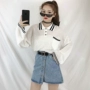 2018 đầu mùa thu mới Hàn Quốc phiên bản của lỏng POLO cổ áo dài tay áo len nữ sinh viên hoang dã ve áo phần mỏng áo triều áo kiểu nữ hàn quốc cao cấp