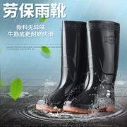 Giày cao cổ nam bảo hiểm lao động ống cao su chống trượt - Rainshoes