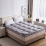Giường nệm mat bốn mùa chống trượt nhà nệm trên cùng đệm giường mềm dày pad giường Luzi đôi - Nệm nệm everon