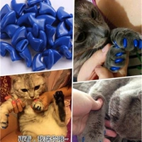 Кошка использует синий океан (20 капсул)
