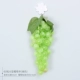 60 длинных виноградных шампуров (зеленый) отправьте четыре шампура