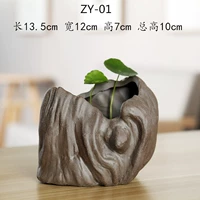 ZY-01