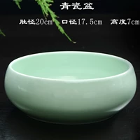 Диаметр живота 20 Celadon Basin (популярная модель)