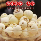 Alang Hunan Xiangtan первого класса Lotus Seed Card 500G Специальный флагманский магазин бессмысленный лотос семян не -Хонгу Цзяньнинга