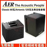Fit Music Aer Compact Classic 60/Artemis 120 Wattian Dean Dedica Специальный динамик
