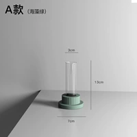 Тип морских водорослей зеленый