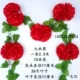 Daqiu Chrysanthemum и Red 1